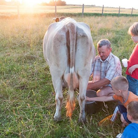 Agroturystyka Lolkowo Srokowo Bagian luar foto