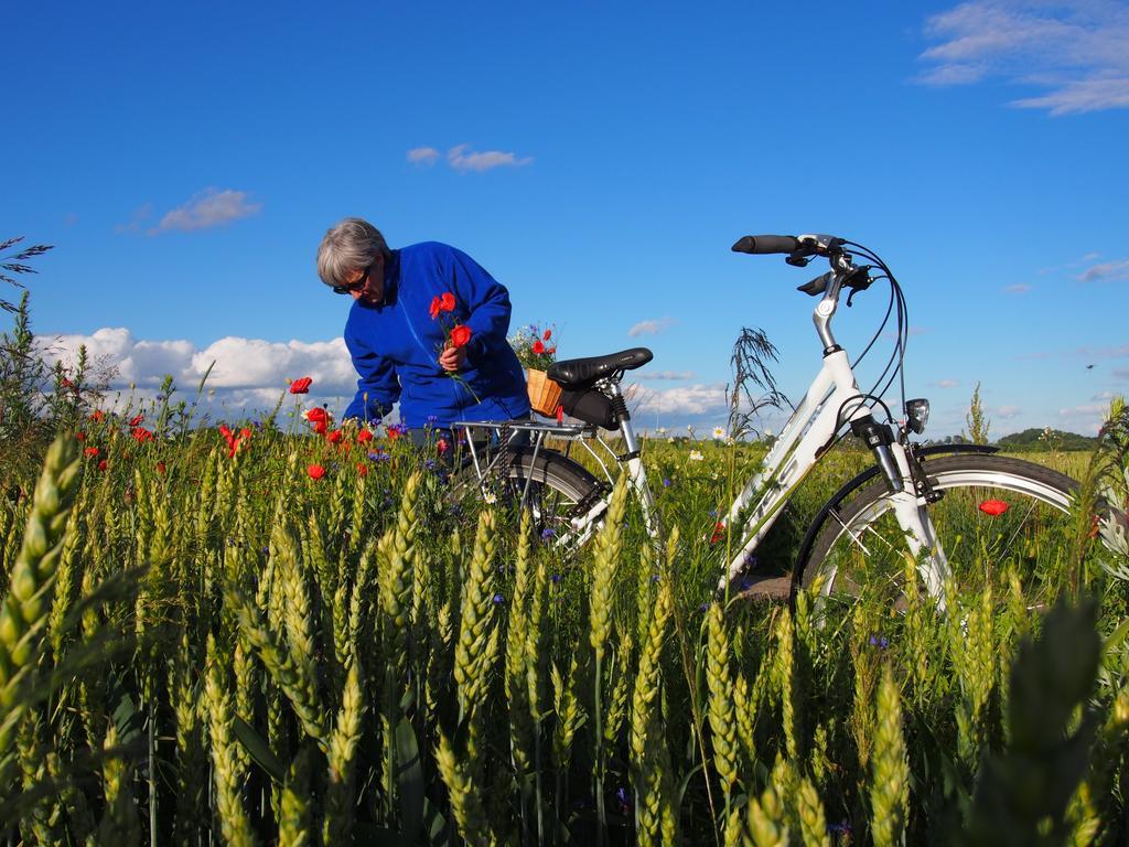 Agroturystyka Lolkowo Srokowo Bagian luar foto