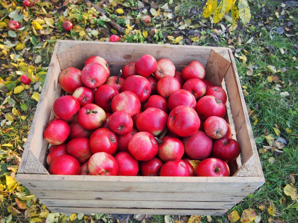 Agroturystyka Lolkowo Srokowo Bagian luar foto