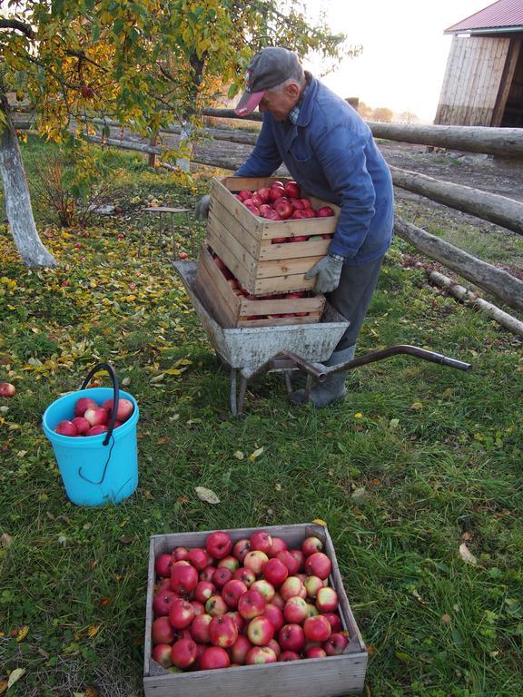 Agroturystyka Lolkowo Srokowo Bagian luar foto